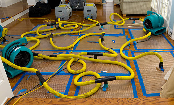 Professional Flood Damage Restoration technician working in Jamestown, RI